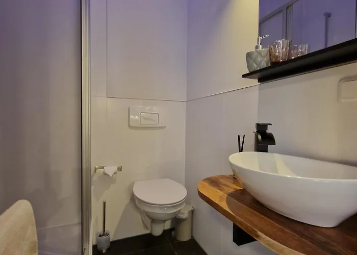 Gruen ゲストハウス ツウィッカウ