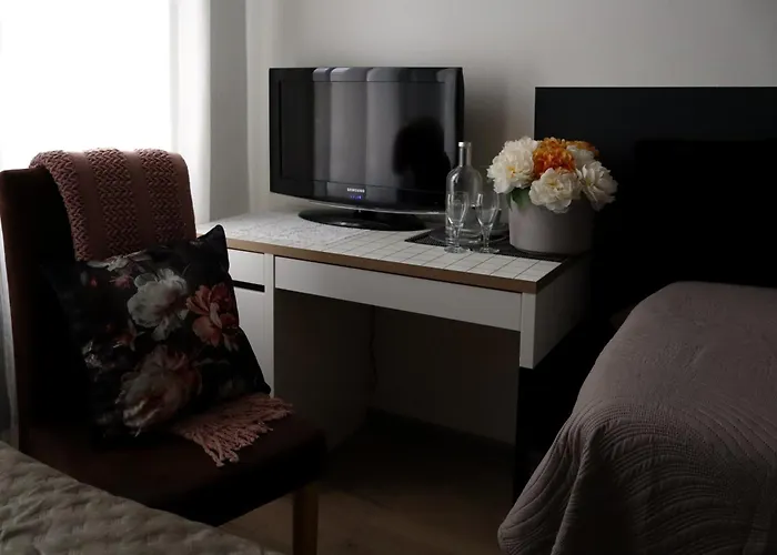 ゲストハウス Gruen ツウィッカウ